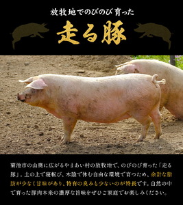 菊池やまあいの豚小間スライス 2kg《90日以内に出荷予定》(土日祝除く)》1パック200g 豚肉 豚小間 スライス済み 小分け 熊本県産 九州産 国産 冷凍 送料無料