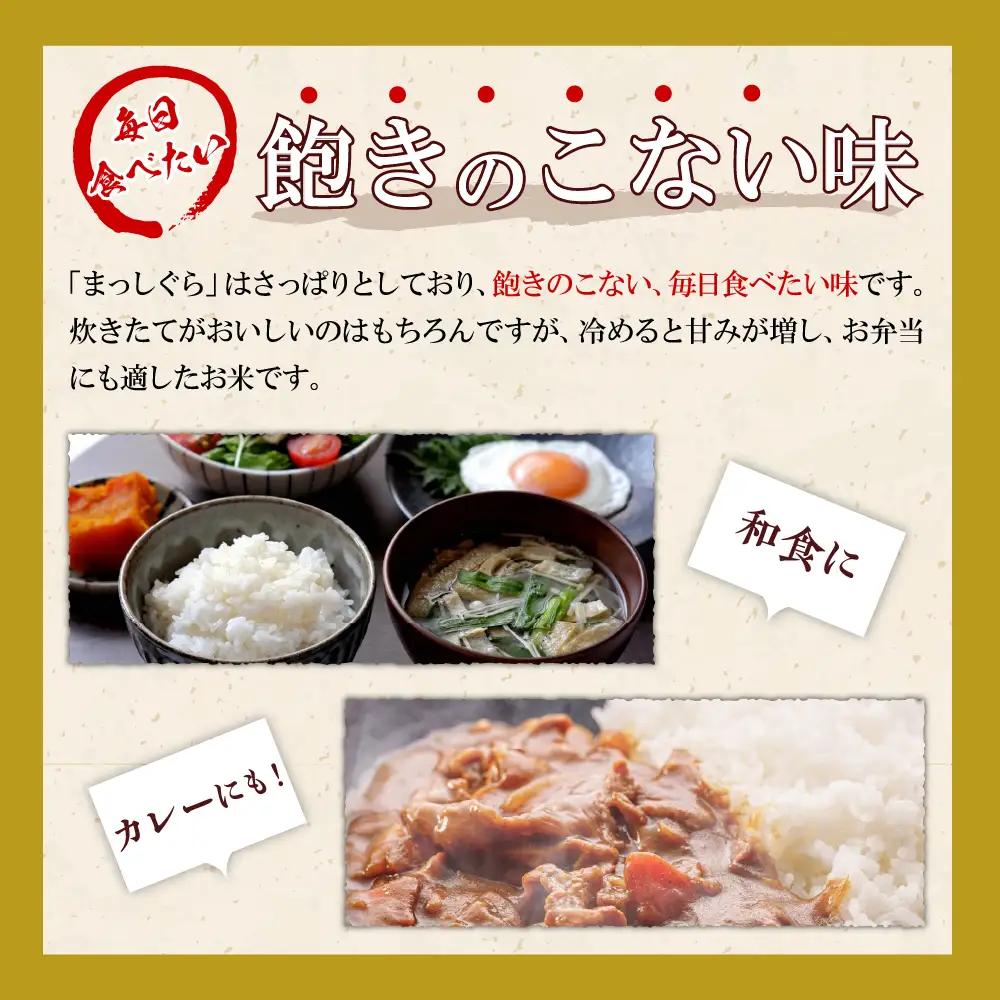 【定期便 隔月3回】 米 10kg まっしぐら (精米・5kg×2袋) 定期便3回 10kg×3回