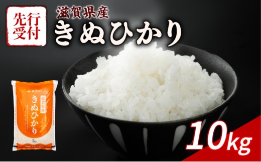【令和8年産】 先行予約 新米 きぬひかり 10kg ( 5kg ×2) 令和8年産 米 精米 こめ コメ お米 ご飯 米 近江米 キヌヒカリ 10キロ 令和8年 滋賀 彦根 【近江米】