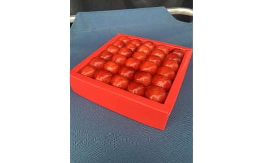 令和8年産【先行受付】山形県産さくらんぼ＜やまがた紅王 特秀品＞30粒　プレミアム　4L