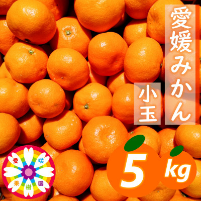 
            「 愛媛 みかん 」 小玉 約5kg《 愛咲果樹園 》＜C71-6＞【1331484】
          