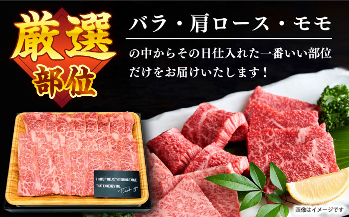 【A4～A5】 長崎和牛 焼肉 用約500ｇ＜株式会社MEAT PLUS＞ [CFT001] 牛肉