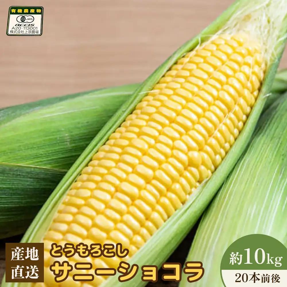 【2026年度発送分】上原農場直送 有機栽培とうもろこし (サニーショコラ) 約10kg 約20本前後【6602001】