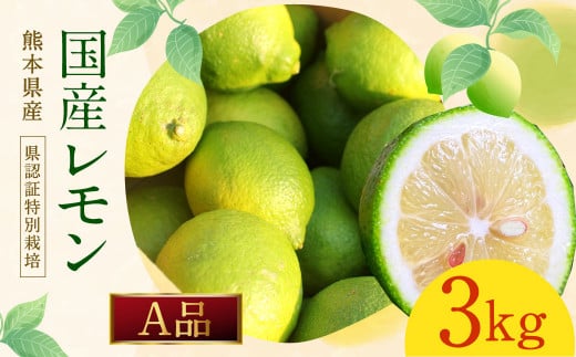 イエローレモン A品 約3kg 国産 柑橘 果物 フルーツ【2025年12月上旬～2026年6月上旬迄発送予定】