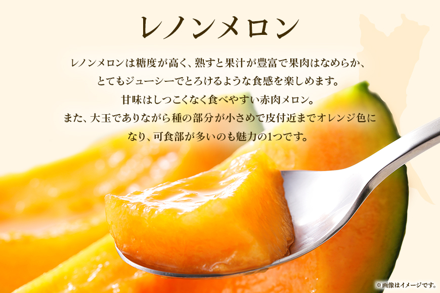 【数量限定・期間限定】おみたまレノンメロン（赤肉）2玉 メロン 秀品 茨城県産 めろん 52-D