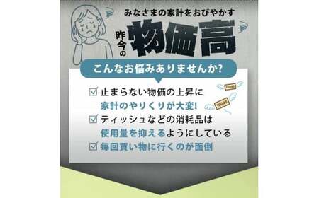 【ふるさと納税】 ティッシュ ティッシュペーパー 1箱150組/300枚 5箱×16パック 合計80箱  [ 常備品 生活用品 まとめ買い 蛍光染料不使用 日用品 日用雑貨 日用消耗品 ]  【配送不