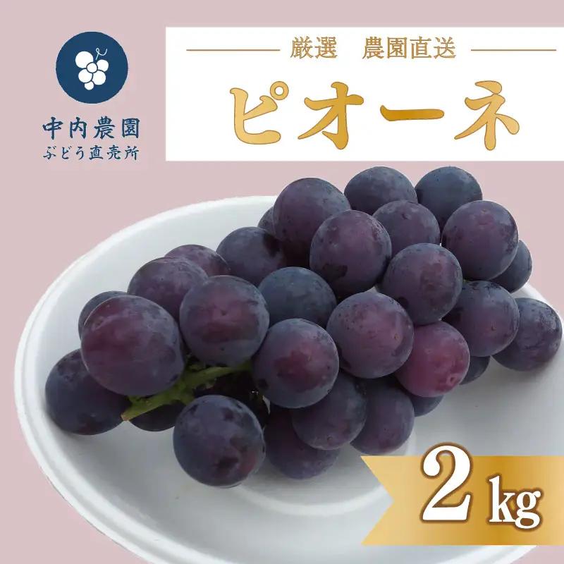 ぶどう ピオーネ 2kg ぶどう