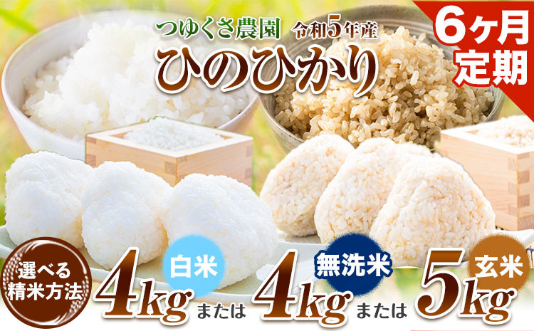 
米 【6ヶ月定期便】令和5年産 ひのひかり 精米方法が選べる 白米 4kg または 無洗米 4kg または 玄米 5kg 熊本県 荒尾市産 米 白米 無洗米 玄米 つゆくさ農園 《お申込み月の翌月から出荷開始》
