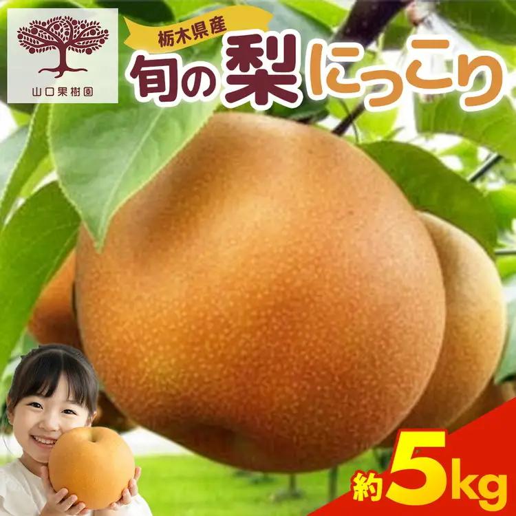 栃木の梨 にっこり 5kg 旬の梨