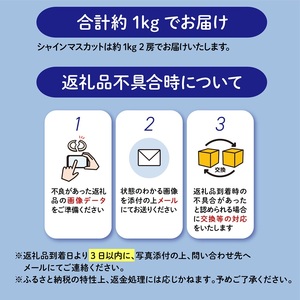 シャインマスカット 2房 約1kg シャインマスカット