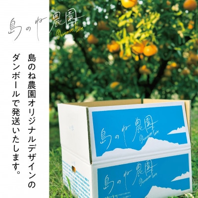 【訳あり】島のね農園の甘平(4kg)【KB01600】【1419486】