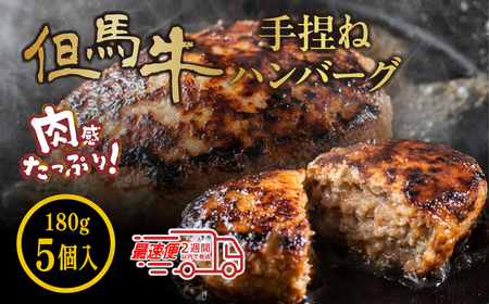 〈スピード出荷〉但馬牛 ハンバーグ 900g  《 180g × 5個 》 小分け ハンバーグ MSK016