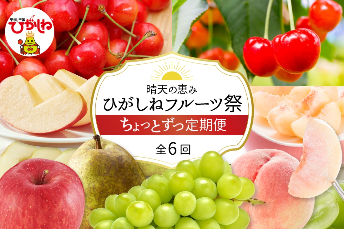 【2026年産先行予約】ひがしねフルーツ祭 ちょっとずつ定期便！全6回（2026年6月からスタート）山形県 東根市 hi026-052