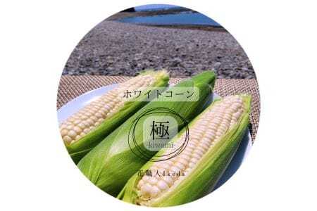 M011　ホワイトコーン極－Ｋｉｗａｍｉー（レギュラー）