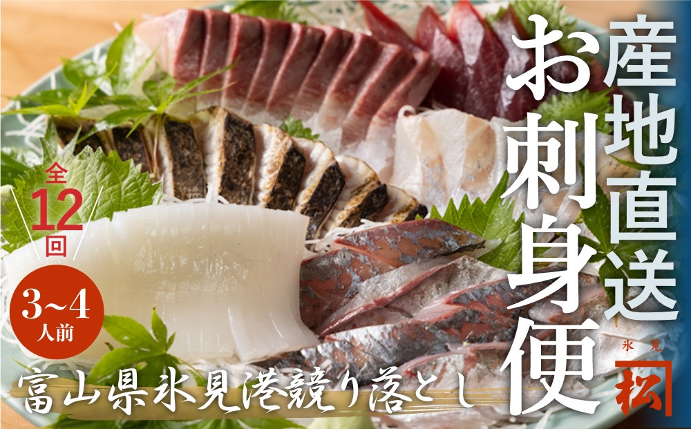 
            【毎月お届け 全１２回 定期便】 魚問屋直送！氷見漁港で競り落としたお刺身詰め合わせセット 〈冷凍〉
          