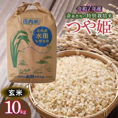 ふるさと納税 鶴岡市 【令和7年産】斎藤農場の特別栽培米 つや姫(玄米) 10kg×1袋 [K-7117]
