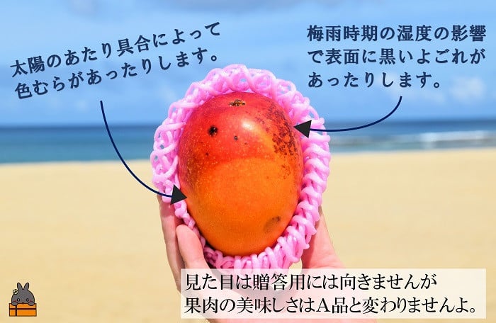 太陽のあたり具合で色むらがあります。また糖度が高いためシュガースポット（黒くなる現象）もあります。