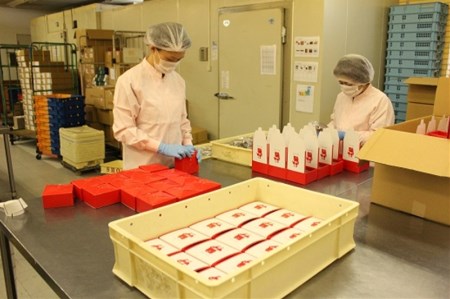 抹茶 宇治 抹茶 スイーツ 2種セット 8個 | 抹茶