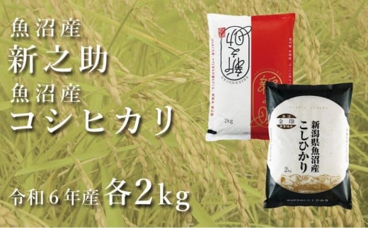 
            令和7年産新米 中魚沼産「新之助」2kg ＋ 魚沼産コシヒカリ「金印」2kg 食べ比べセット
          