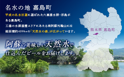 FK7-0171_ 【サントリー生ビール・金麦交互4回定期便】各350ml ×24本 熊本県 嘉島町 ビール ギフト 贈り物 酒 アルコール