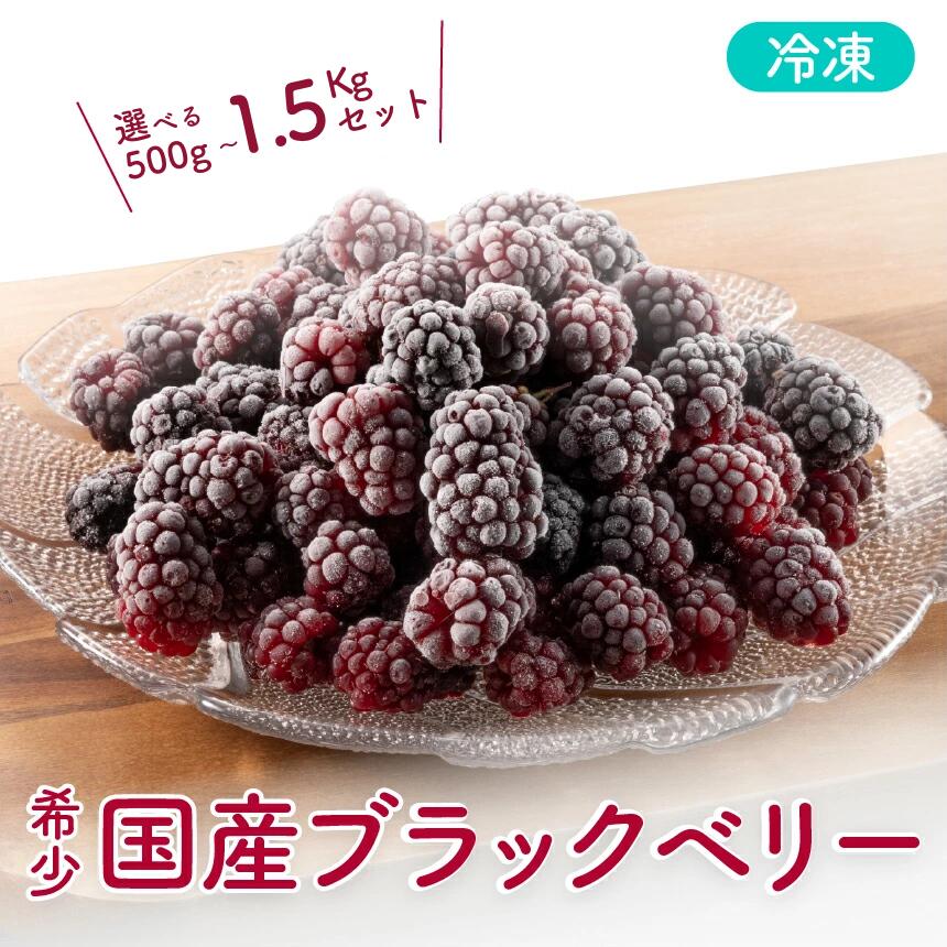 【ふるさと納税】 冷凍 無農薬 ブラックベリー（国産） 新潟県 阿賀町 果物 フルーツ 国産 【冷凍】ベリー スイーツ用ベリー 常備果物 大容量