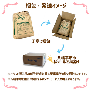 【令和7年産】 新米 11月中旬発送開始予定 天日干し米 ひとめぼれ 精米 5kg ／ 伊藤一夫 こめ 米 コメ お米 おこめ ご飯 ごはん 白米 白飯 おにぎり お弁当 仕送り お取り寄せ 産地直送