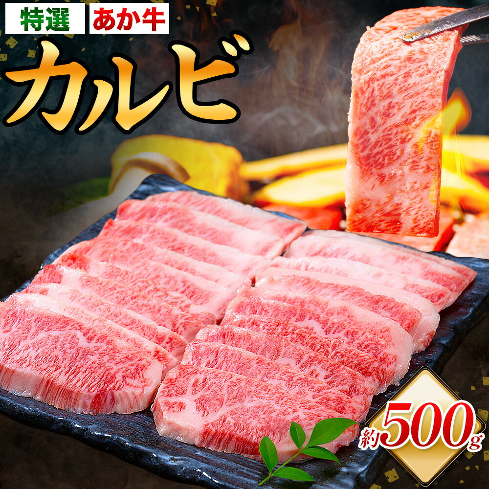 【ふるさと納税】熊本あか牛 特選カルビ 約500g 合同会社たべたせいか《30日以内に出荷予定(土日祝除く)》熊本県 菊池市 肉 牛肉 お肉 和牛 あか牛 焼き肉 焼肉 やきにく BBQ バーベキュー 特選 カルビ 熊本県産 冷凍 送料無料