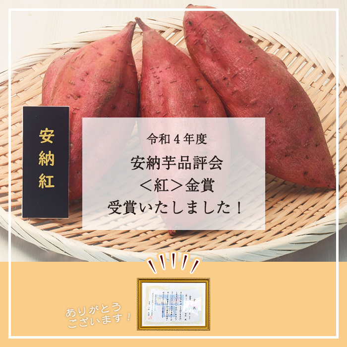 n481 先行予約受付中！10月下旬頃から11月初旬頃より順次発送予定 種子島産 安納芋＜紅＞(11kg) 国産 安納芋 紅 種子島 芋 イモ さつま芋 安納いも 野菜 焼き芋 焼芋 【うずえ屋】