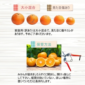 【先行予約】 【産地直送】 有田 育ちの ご家庭用 完熟 清見 オレンジ 5kg+100g(補償分) / みかん 甘い オレンジ フルーツ 果物 有田 和歌山 ※2026年2月下旬～2026年3月下旬
