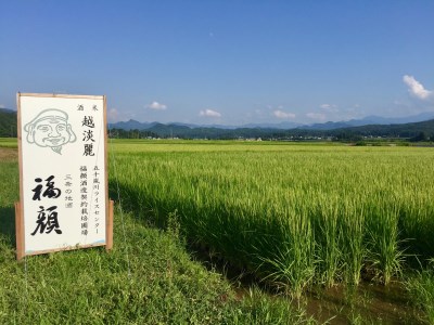 ウイスキー樽・バーボン樽で貯蔵した日本酒（720ml×2本）ギフトセット 新潟県 日本酒 [福顔酒造] 【013S004】