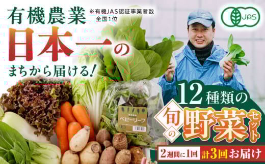 【全3回隔週定期便】 有機野菜 オーガニック 12種 野菜セット 野菜 有機JAS認定 詰め合わせ オーガニック野菜 熊本県産 山都町産 産地直送 有機野菜 熊本直送 有機野菜【株式会社 肥後やまと】[YAF004]