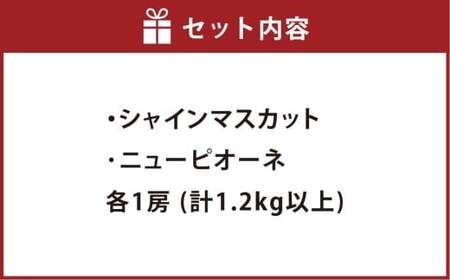 種無しぶどう詰合せ2房（合計1.2kg以上） シャインマスカット ニューピオーネ ぶどう 葡萄 ブドウ 果物 フルーツ 詰め合わせ セット 岡山県 倉敷市【2026年9月上旬～10月上旬まで順次発送予