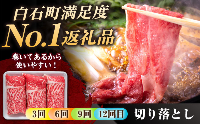 【肉のプロが厳選！】【全12回】佐賀県産和牛 贅沢定期便【株式会社いろは精肉店】 [IAG070]