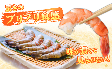 魚兵水産こだわりのブラックタイガー海老　 10尾5パック(計1200g程度)【配送不可地域：離島】【1215914】