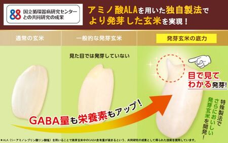 発芽玄米 1kg 1袋 発芽 玄米 ドライ米