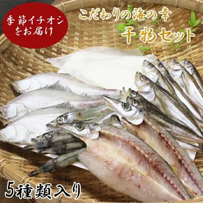 こだわりの海の幸干物セット【干物 乾物 旬の魚 おまかせ 詰め合わせ セット 日本海 境港 ご当地 ギフト プレゼント ご自宅用】