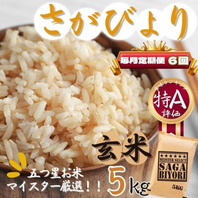 ふるさと納税 伊万里市 【毎月定期便】【玄米】さがびより5kg【特A評価】《マイスターセレクト》(伊万里市)全6回