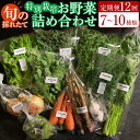 【ふるさと納税】【定期便全12回】旬の採れたて 7～10種類お野菜詰め合わせセット(1～2名様)【野菜 特別栽培 1年間 栽培期間中農薬不使用 旬 採れたて 香川県 さぬき市】