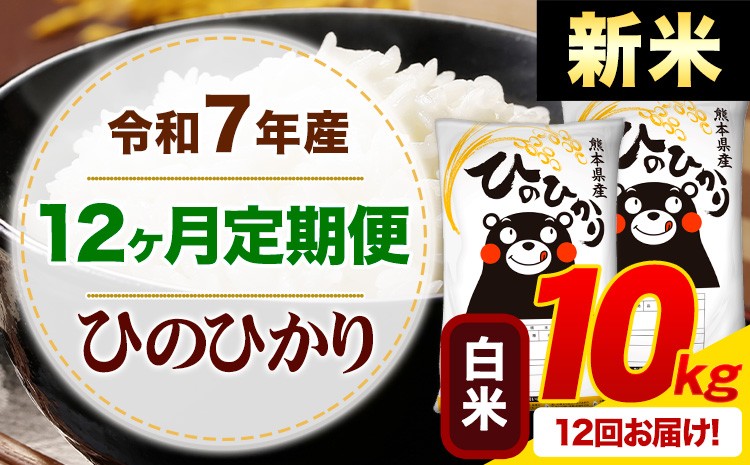 【12ヶ月定期便】令和6年産 新米 白米 ひのひかり 定期便 10kg《申込み翌月から発送》令和6年産 熊本県産 ふるさと納税 精米 ひの 米 こめ ふるさとのうぜい ヒノヒカリ コメ お米