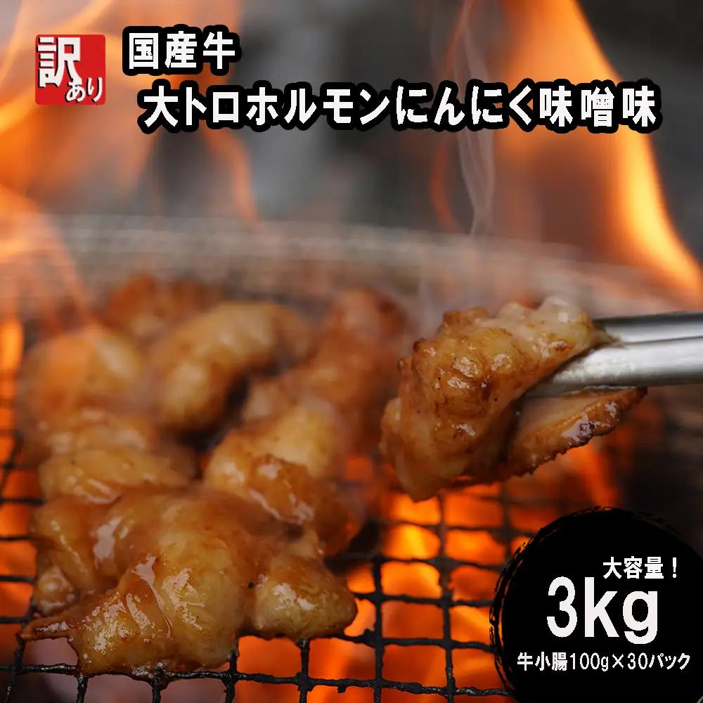 訳あり 国産牛 大トロホルモン にんにく味噌味 3kg （100g×30） ホルモン