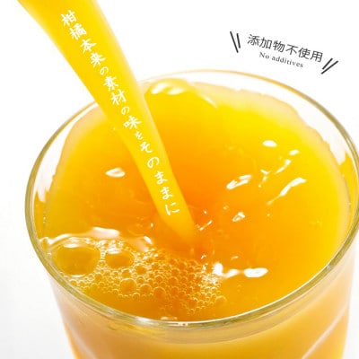 媛一ジュース160ml×8本セット・果汁100%ストレートジュース【D24−35】【1635216】