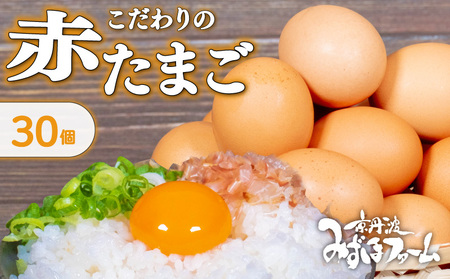 京丹波 赤たまご 30個  【卵 たまご 濃い たまご 鶏卵 卵】※北海道・沖縄・その他離島は配送不可 [007MF001]
