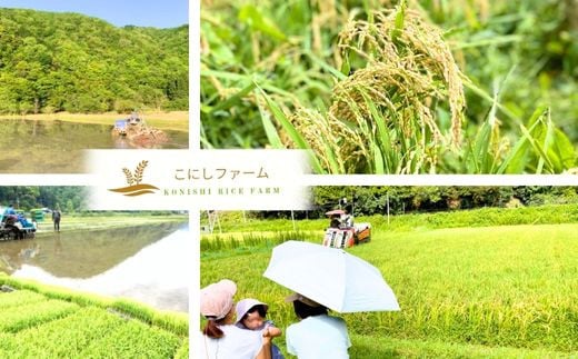 ＼こにしファームよりお届けいたします！／