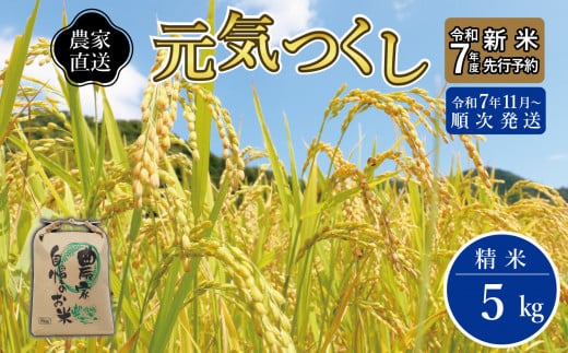 【先行予約】【2025年11月より順次発送】《令和７年産 》福岡県産 ブランド 米「 元気つくし 」 5kg