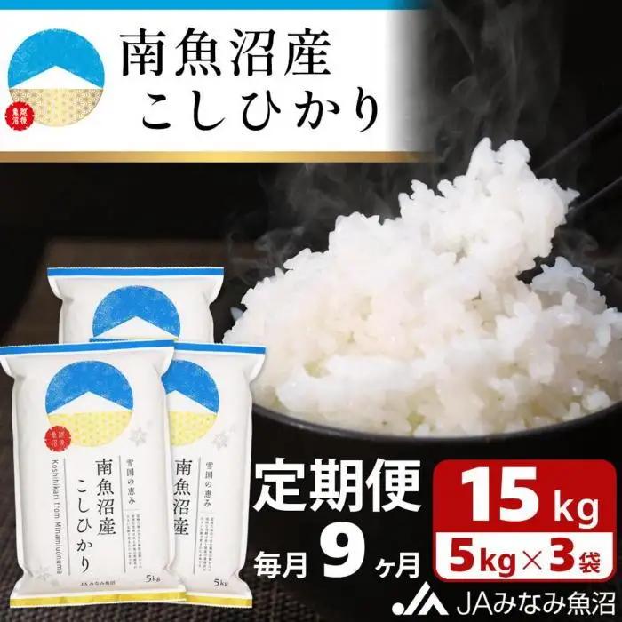 【JAみなみ魚沼定期便】南魚沼産こしひかり（15kg×全9回）精米｜こしひかり
