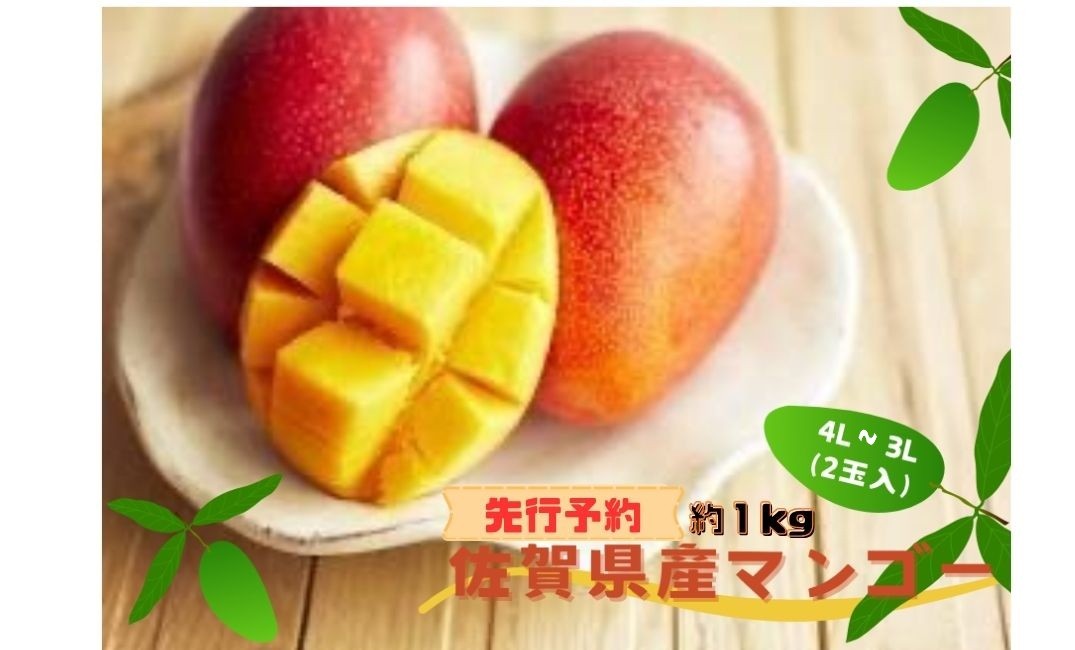 
                  【先行予約】佐賀県産マンゴー約1kg 4L・3L (2玉入)
                