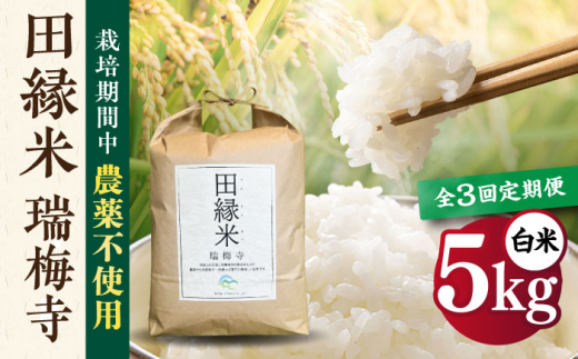 【先行受付中】 【全3回定期便】 田縁米(でんえんまい)・瑞梅寺(ずいばいじ) 白米 5kg 【2026年12月上旬順次発送】 糸島市 / NPO法人田縁プロジェクト 米 白米 [ATM006]