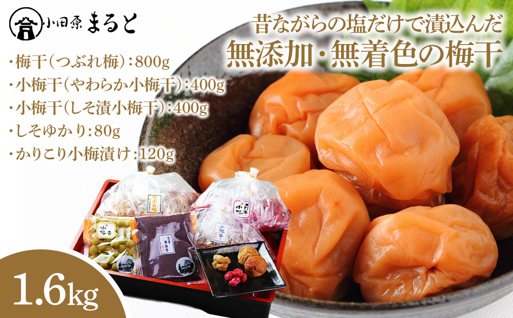 昔ながらの塩だけで漬込んだ無添加・無着色の梅干1.6kg【梅干 梅干し ウメボシ うめぼし 梅干 梅 ウメ お家用 家庭用 国産 無添加 無着色 神奈川県 小田原市 】 142069_AD005