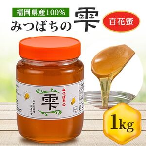 坂井養蜂場　みつばちの雫　1000g　国産蜂蜜【1111654】