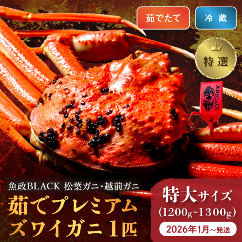 【蟹の匠 魚政】茹で　プレミアムズワイガニ 魚政BLACK（松葉ガニ・越前ガニ）特撰 特大サイズ（1200～1300g） 1匹(1月～3月発送）
